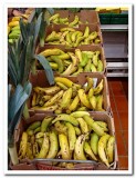 Local Bananas.jpg