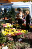 Flower Show 2