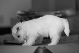 IMG_7395.jpg