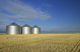 Three Silos at Sunset