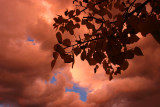 Fall 2006