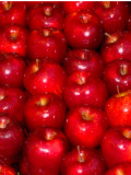 Rows of Apples