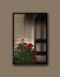 rule of thirds-.jpg
