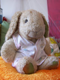 Peter the Stylin Rabbit