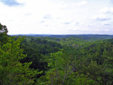 kentucky_2
