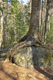 IMG_3705_edited-1.jpg