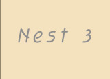 nest 3 starts here