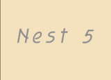 nest 5 starts here