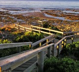 Torquay Boardwalk Victoria Australia.jpg