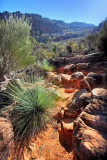 Rawnsely Bluff Hike Flinders Ranges South Australia_5.jpg