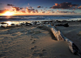 Big Stick Pt Noarlunga South Australia.jpg