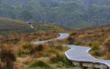 Crater Lake Boardwalk Cradle Mt Tasmania Australia.jpg
