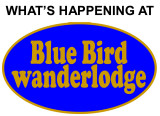 WHATS HAPPENING AT BLUEBIRD WANDERLODGE? BE SURE TO READS MY NOTES BELOW EACH PHOTO, TO SEE MORE CLICK ON NEXT AT RIGHT