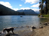 Steely in Cooper Lake