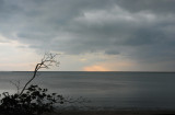 Grey Sky, dark sea and an empty branch