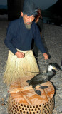 The Ukai Master checking on his fishing partener the cormoratnt bird
