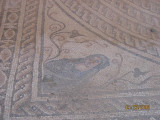 Mosaic Cyrene.jpg