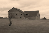 stark barn...sepia