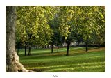 la parc du Raincy