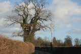 Shropshire