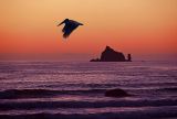 Rialto Beach