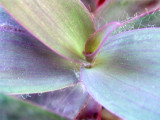 DSCF1982.jpg