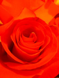 DSCF3005.JPG