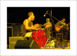 congas_
