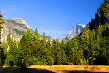 Half Dome & Yosemite Valley