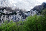 Spring in Slovenian Mountains 2013