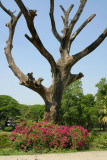 at Kandawgyi Lake