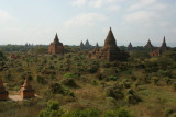 IMG_1883.JPG
