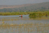 IMG_2362.JPG