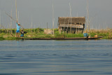 IMG_2428.JPG