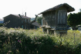 Hrreo