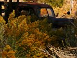 Truck in the sage, Benton Hot Springs, California, 2006