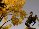 Cowboy and color, Jackson, Wyoming, 2006