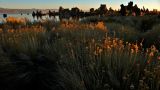 First Light, Mono Lake, California, 2006