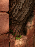 Through the wall, Ouirgane, Morocco, 2006