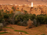 Todra Palm Grove, Tineghir, Morocco, 2006