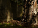 Powder Magazine, Mare Island Naval Shipyard, San Francisco, California, 2007