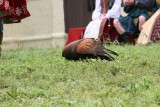 IMG_1435.JPG