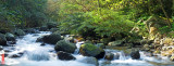 DSC_1099-104.jpg