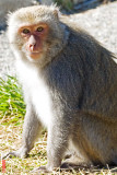 DSC_1143.jpg