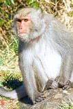 DSC_1145.jpg