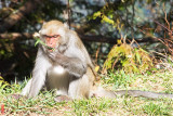 DSC_1150.jpg
