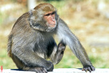 DSC_1163.jpg