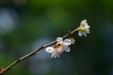 DSC_1545.jpg