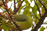 DSC_1680.jpg
