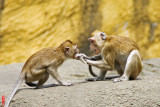 DSC_1742.jpg